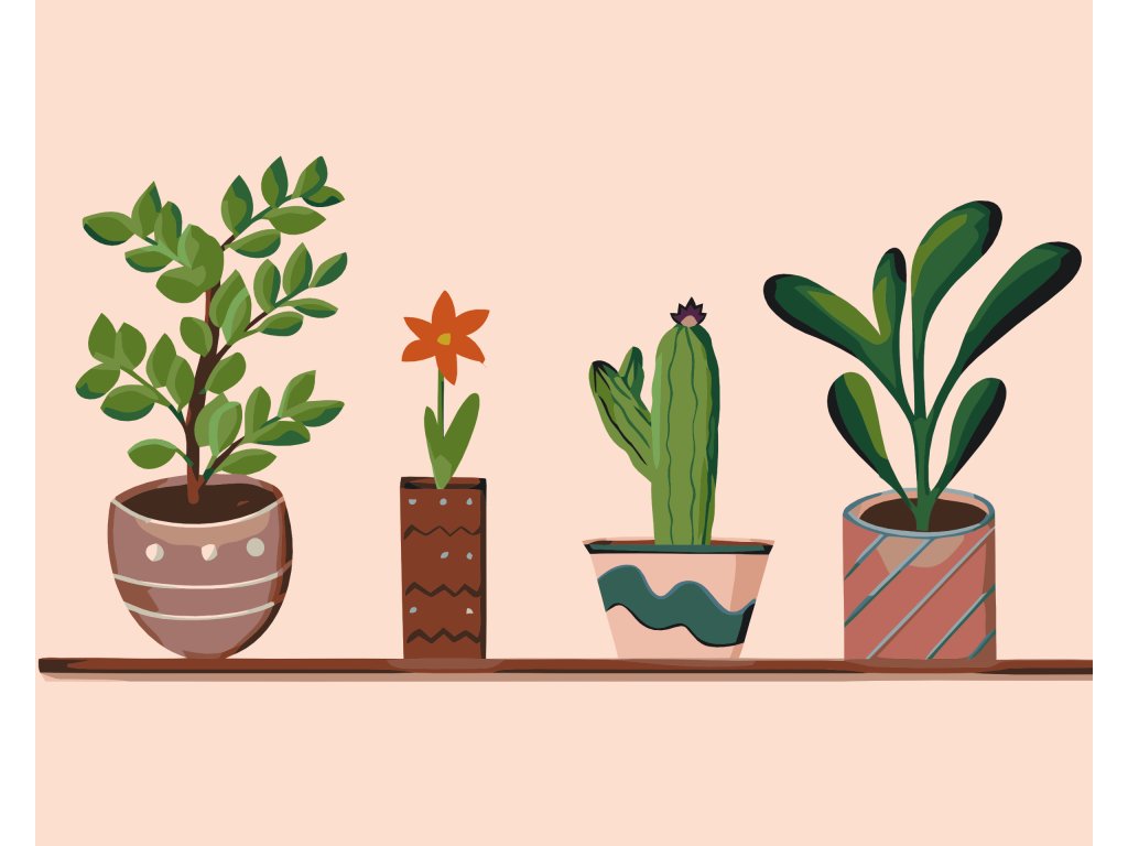 Pintar por Números - Flores de habitación