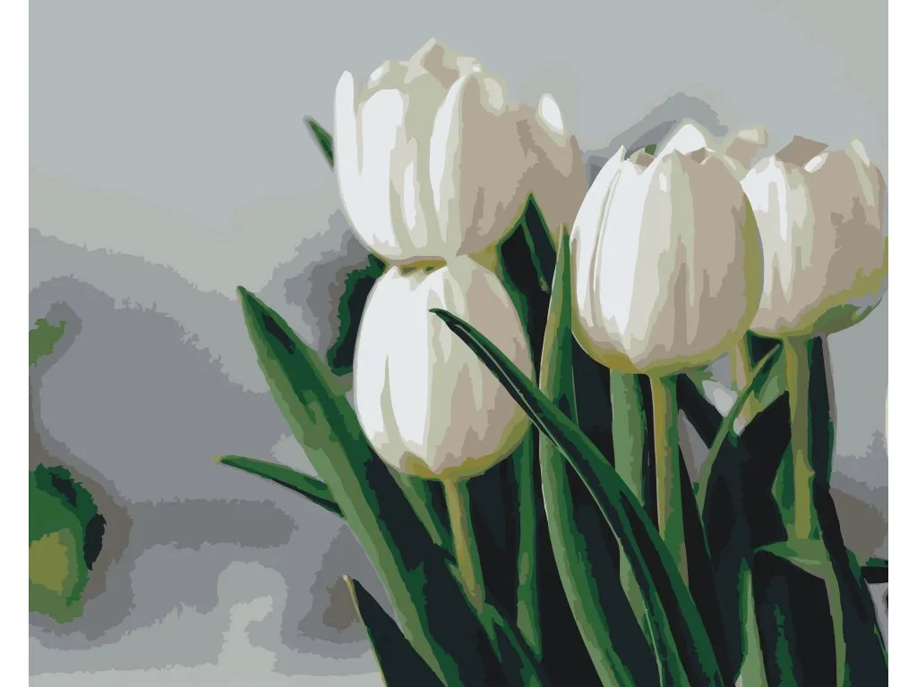 Pintar por Números - Tulipanes blancos