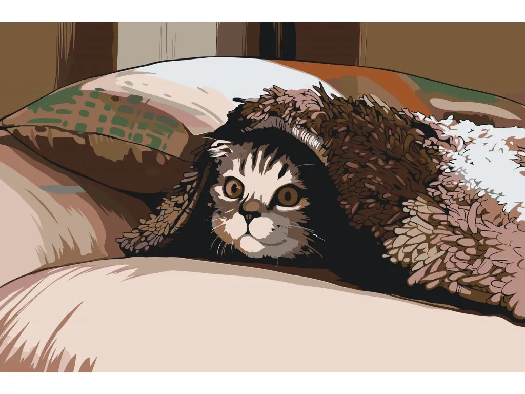 Pintar por Números - Gato bajo la almohada