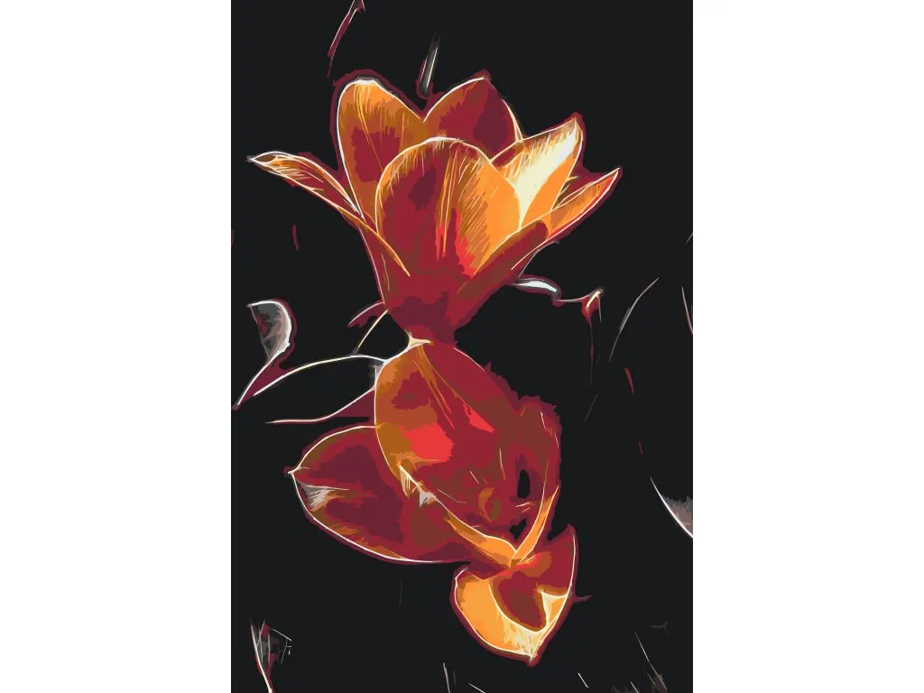 Pintar por Números - Tulipán
