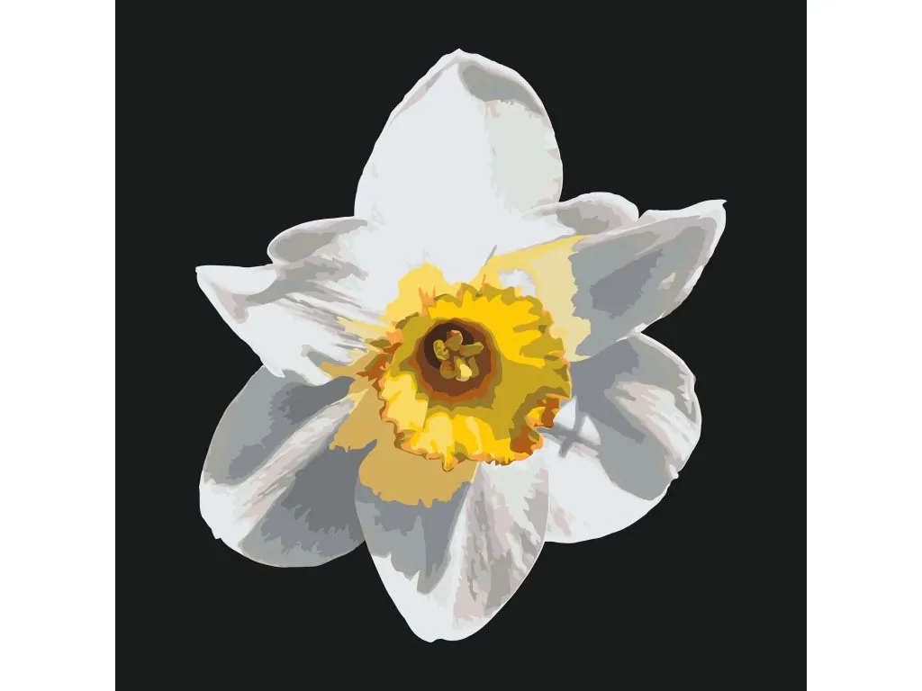 Pintar por Números - Flor de narciso