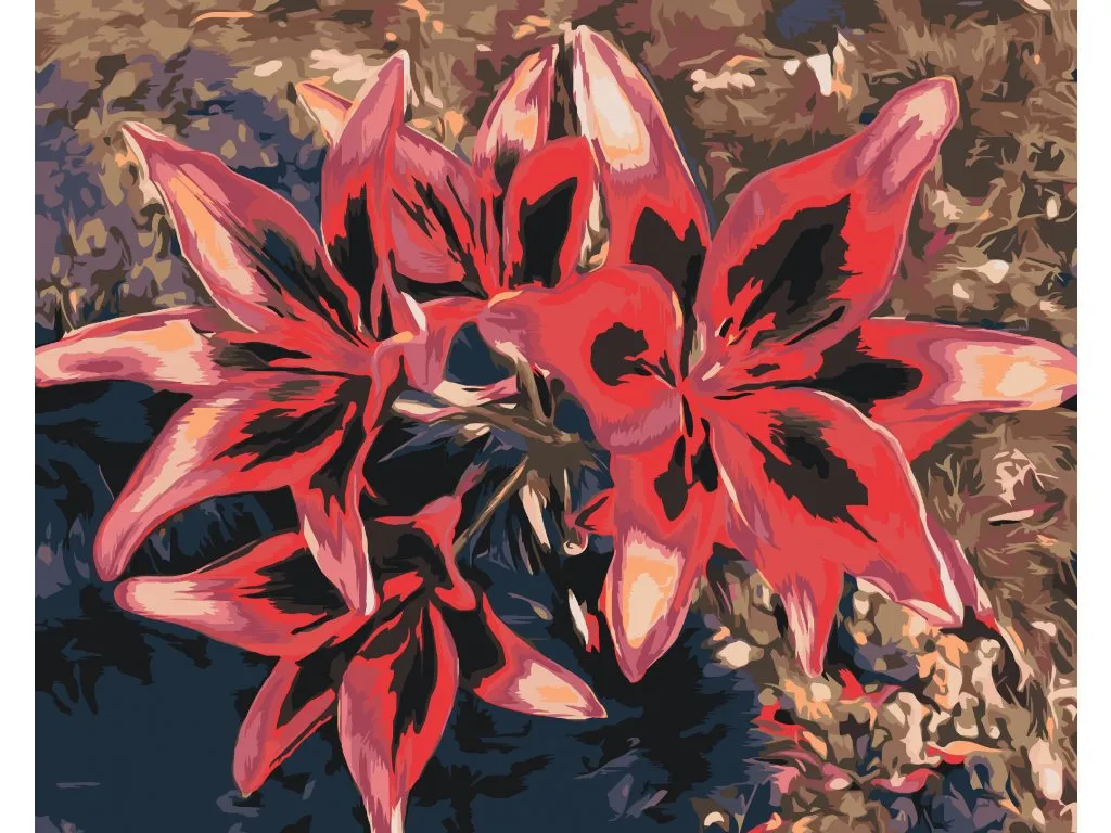 Pintar por Números - Lirios rojos