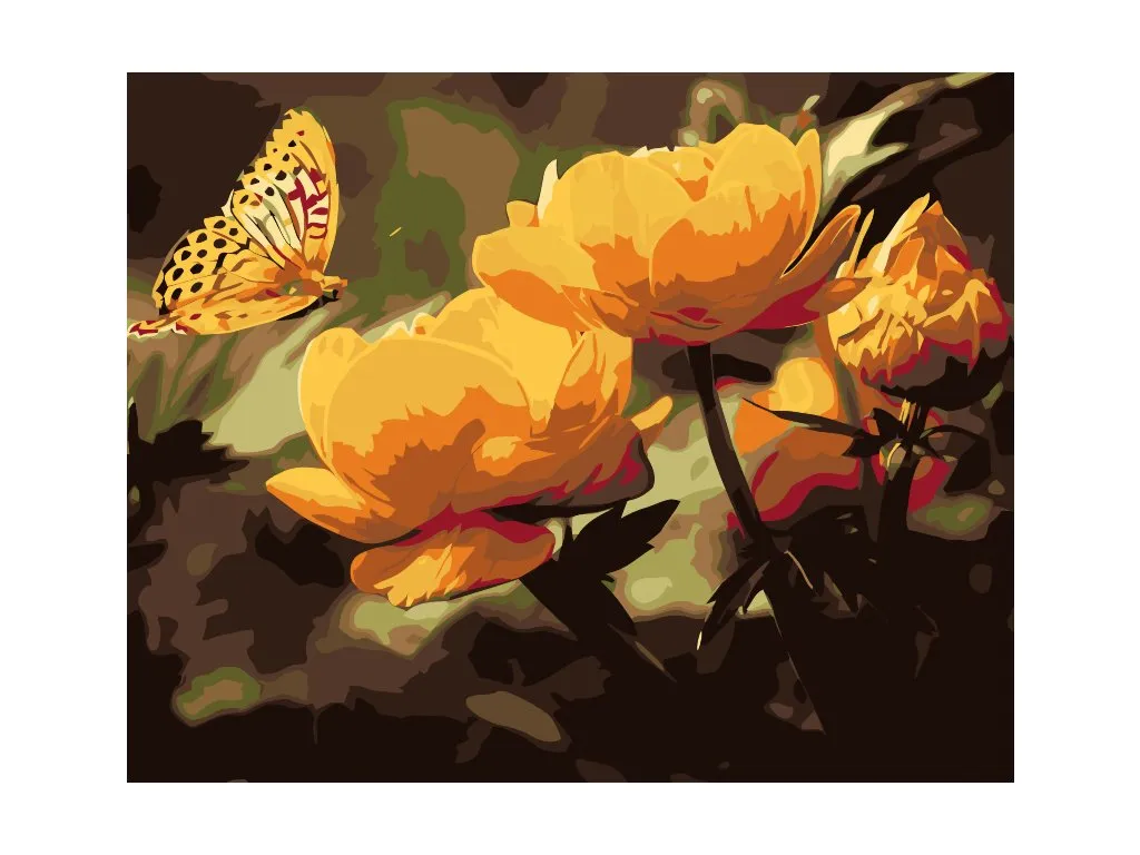 Pintar por Números - Mariposa con flores