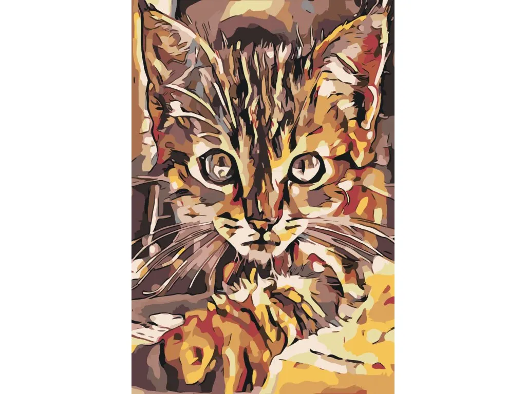 Pintar por Números - Gatito curioso