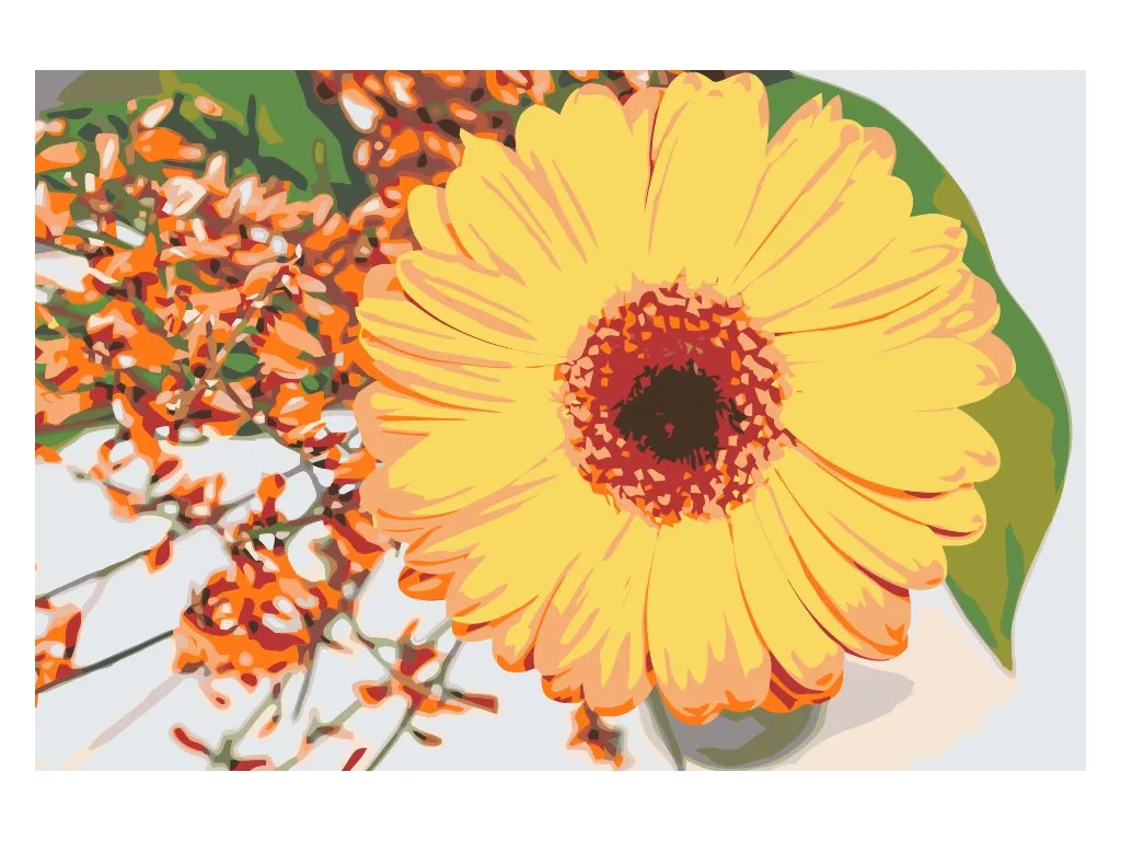 Pintar por Números - Gerbera
