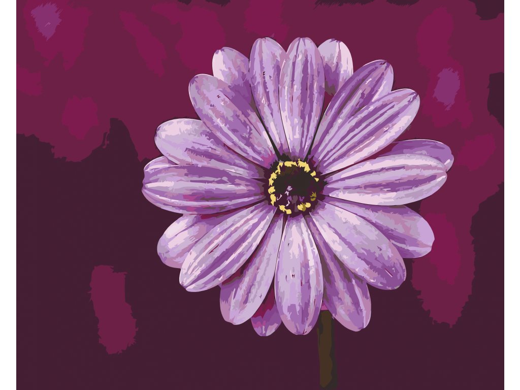 Pintar por Números - Gerbera en morado