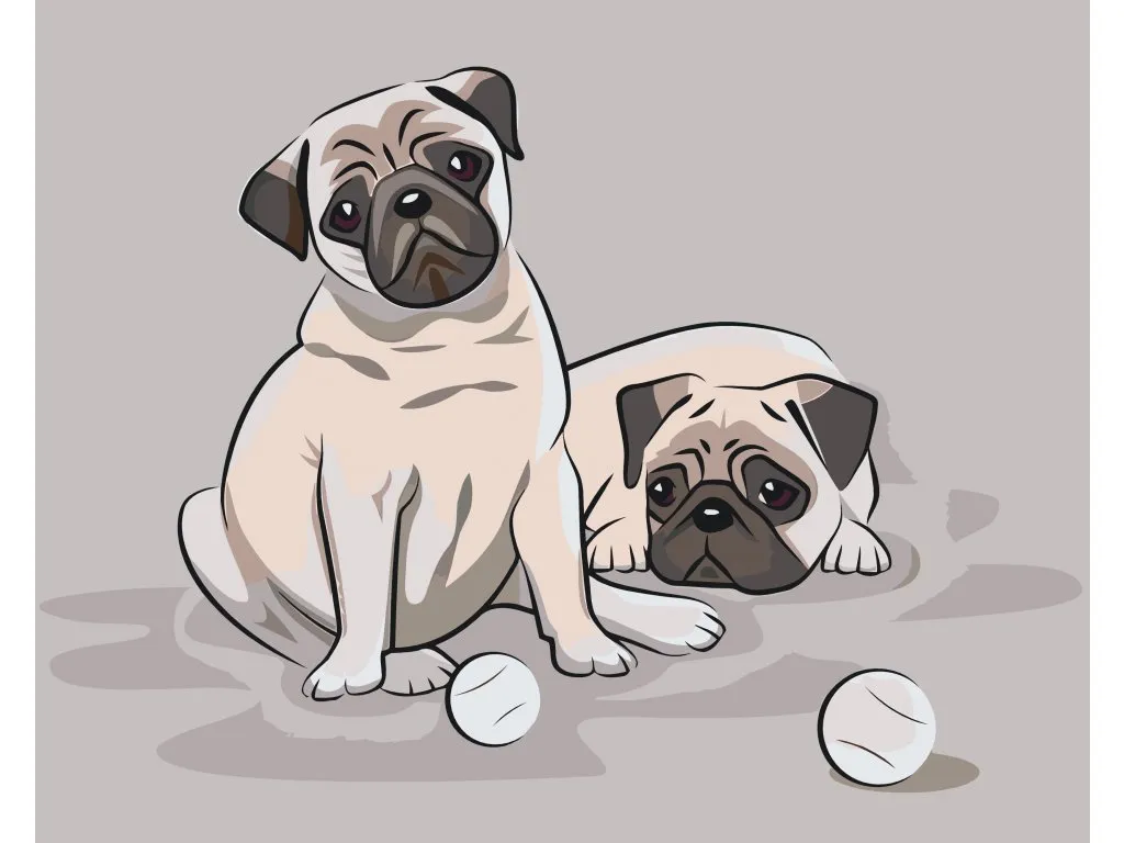 Pintar por Números - Pugs con pelotas
