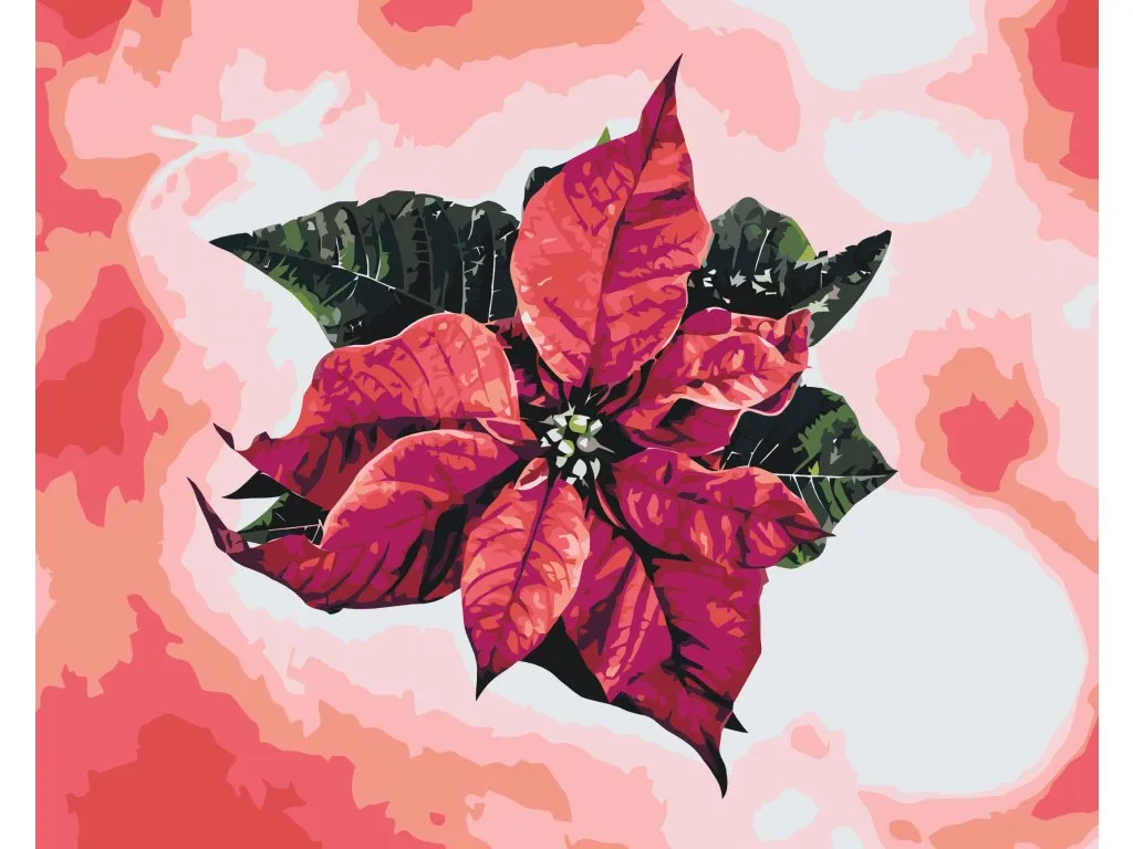 Pintar por Números - Flor de Pascua
