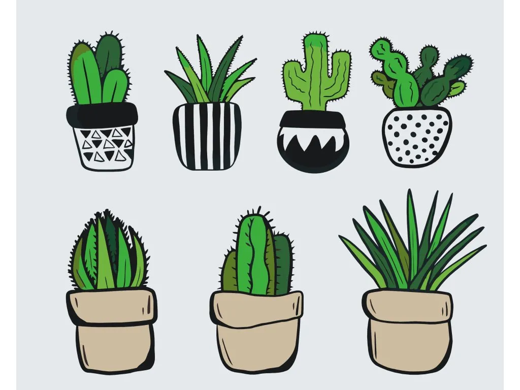 Pintar por Números - Cactus