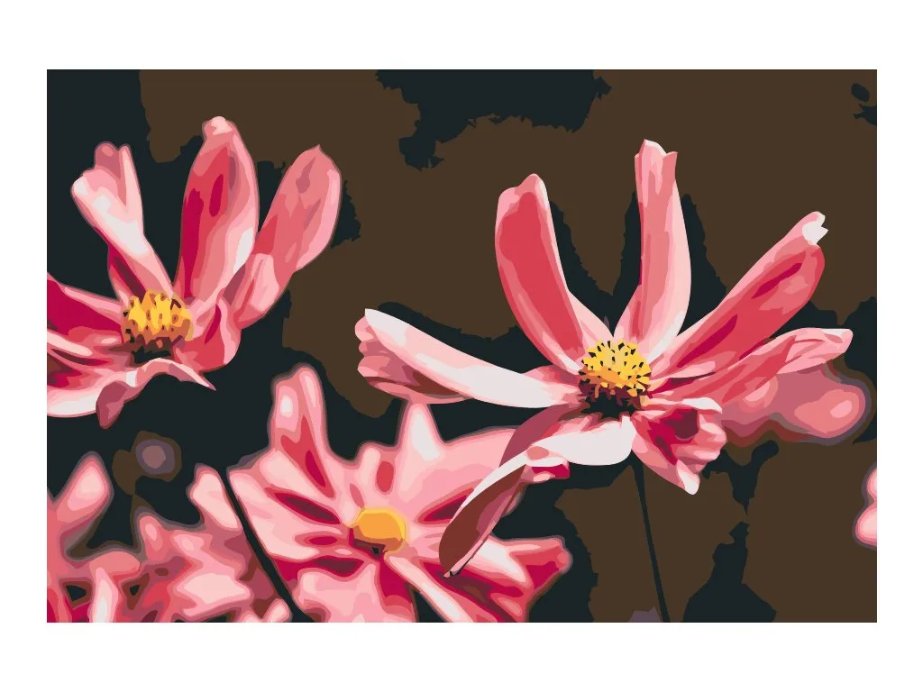 Pintar por Números - Entrega de flores rosas
