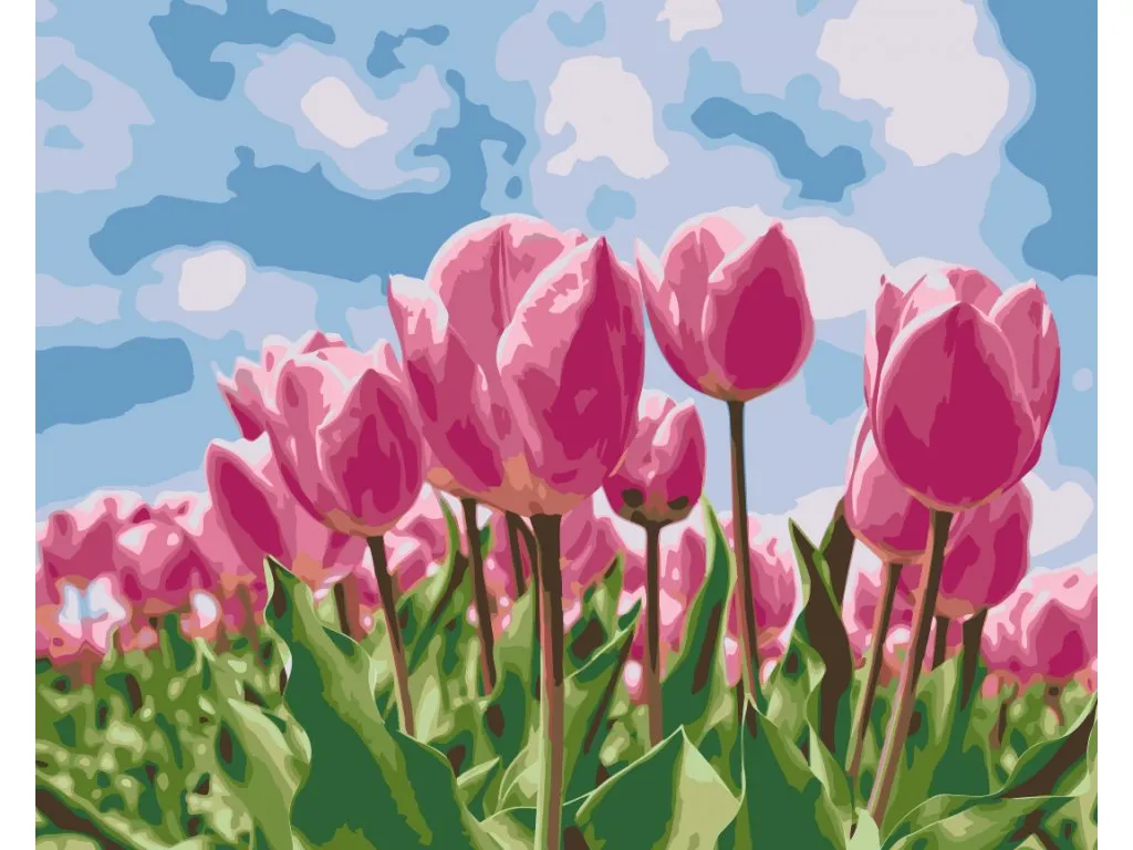 Pintar por Números - Tulipanes rosas