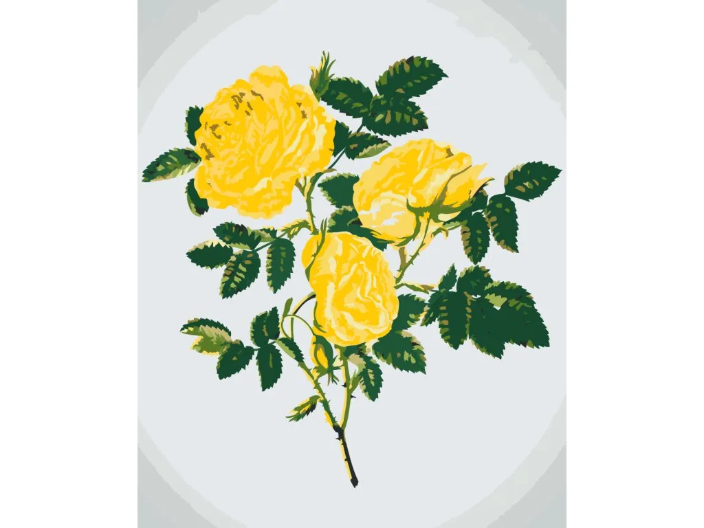 Pintar por Números - Rosas amarillas silvestres