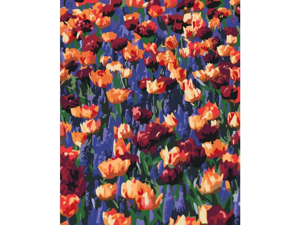 Pintar por Números - Campo de flores