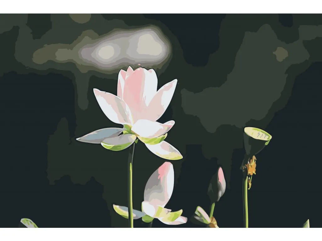 Pintar por Números - Flor de loto