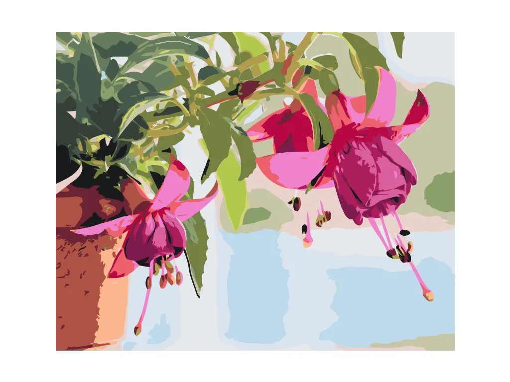 Pintar por Números - Fucsia en maceta