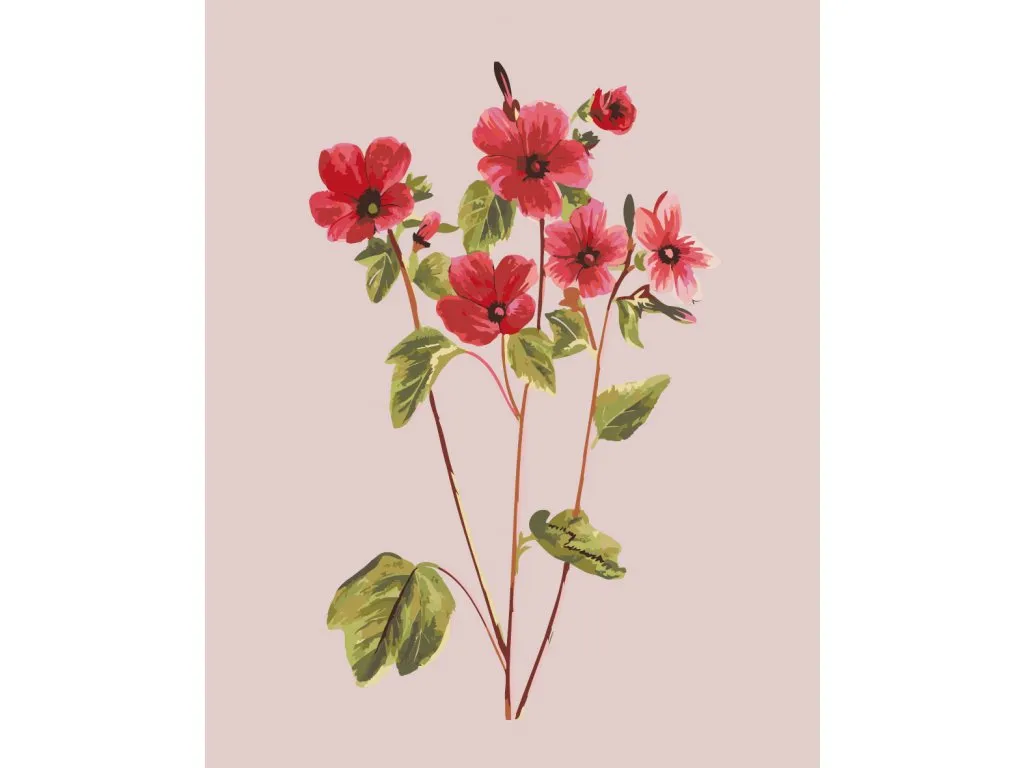 Pintar por Números - Flores de época