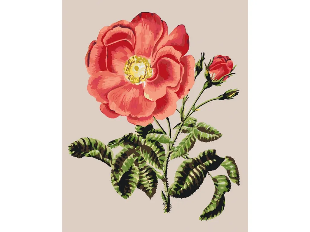Pintar por Números - Rosas vintage