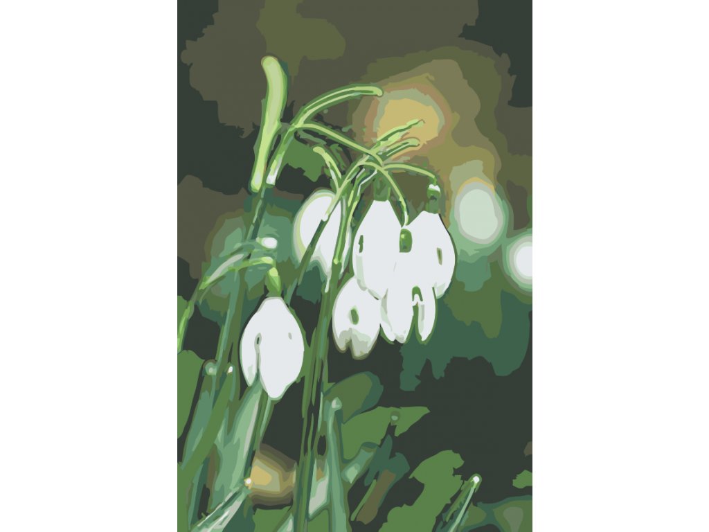 Pintar por Números - Lirio de los valles