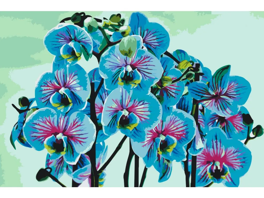 Pintar por Números - Orquídea azul