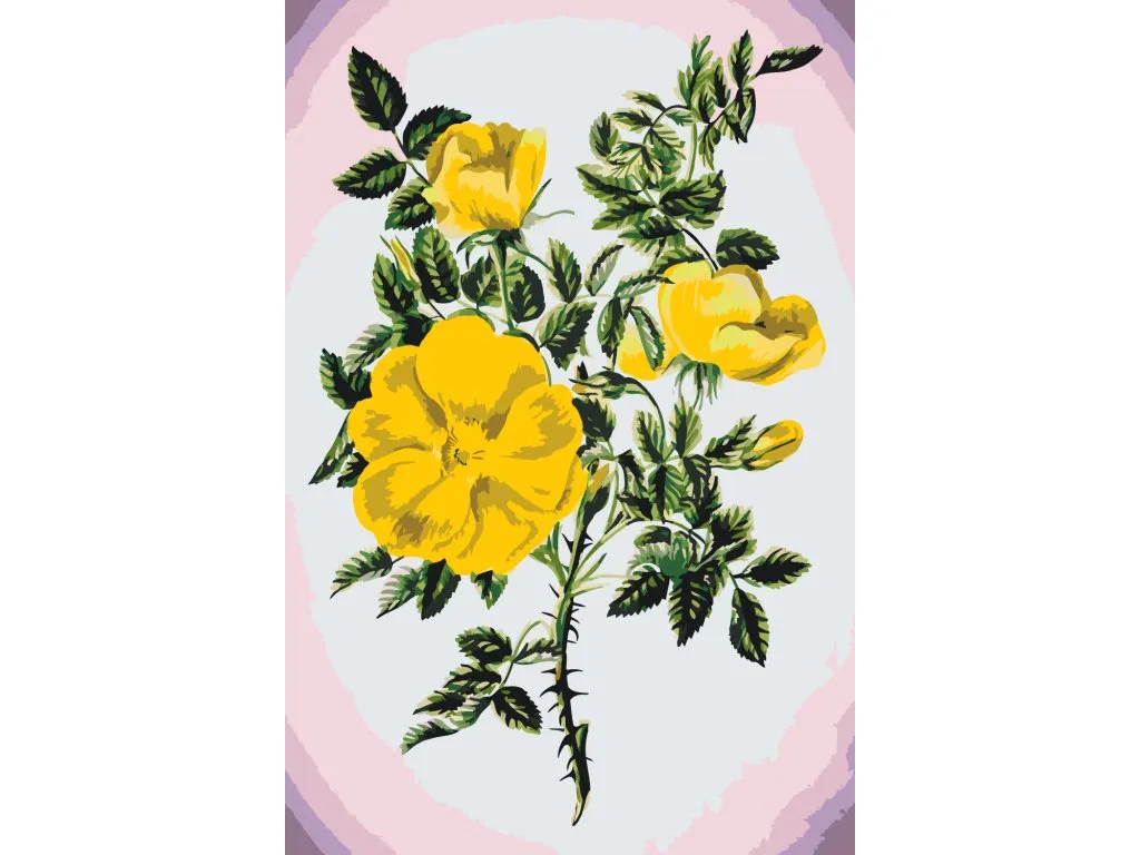 Pintar por Números - Flores de época III