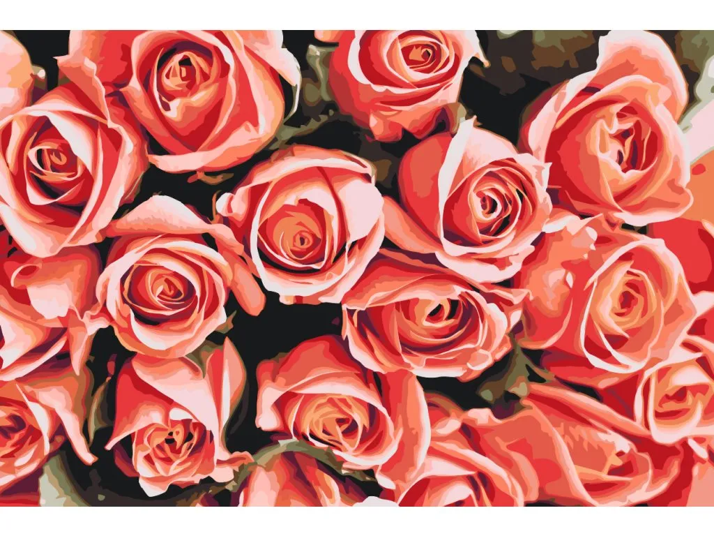 Pintar por Números - Puget de Rosas