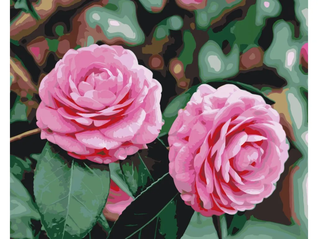 Pintar por Números - Camelia rosa