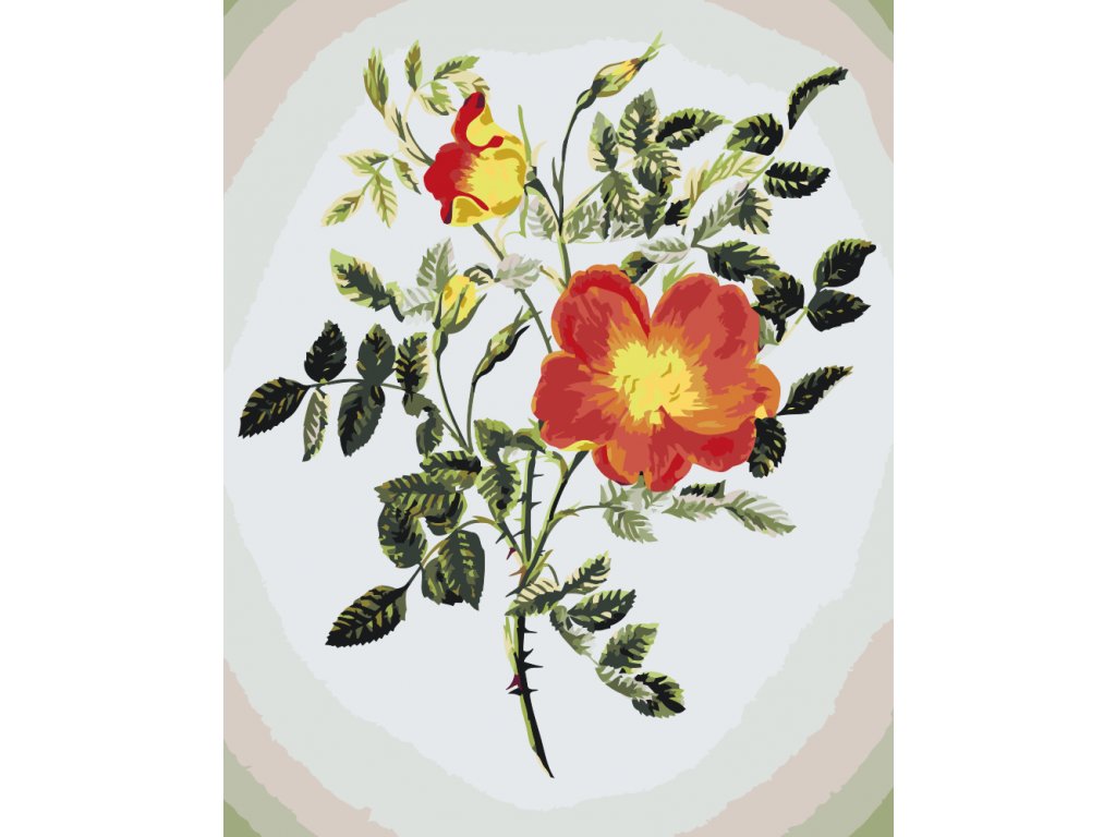 Pintar por Números - Flores vintage VI