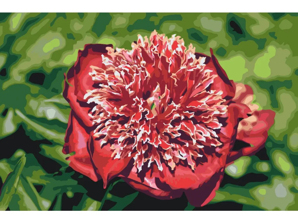 Pintar por Números - Peonía - belleza tierna