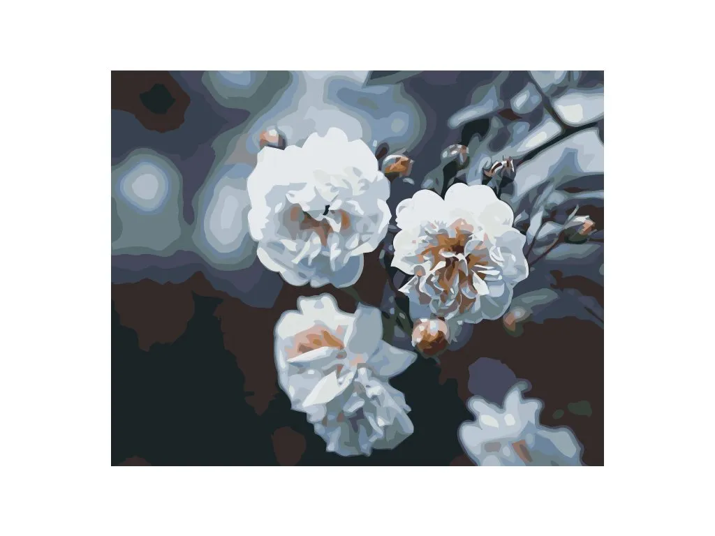 Pintar por Números - Rosas blancas en flor