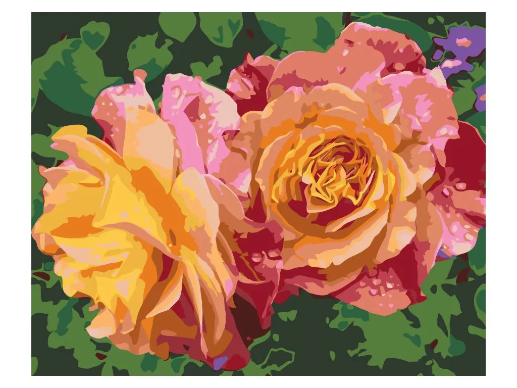 Pintar por Números - Rosas Flores de Belleza
