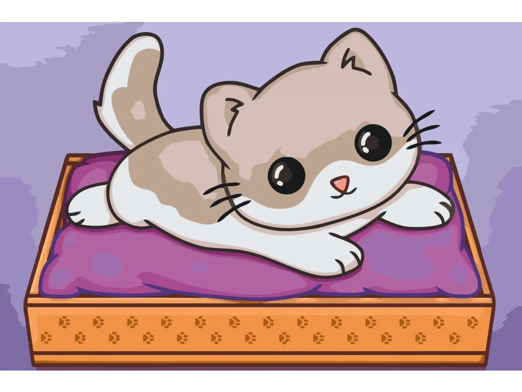 Pintar por Números - Gato sobre manta morada