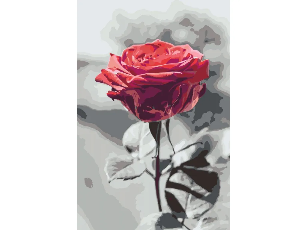 Pintar por Números - Rosa en flor