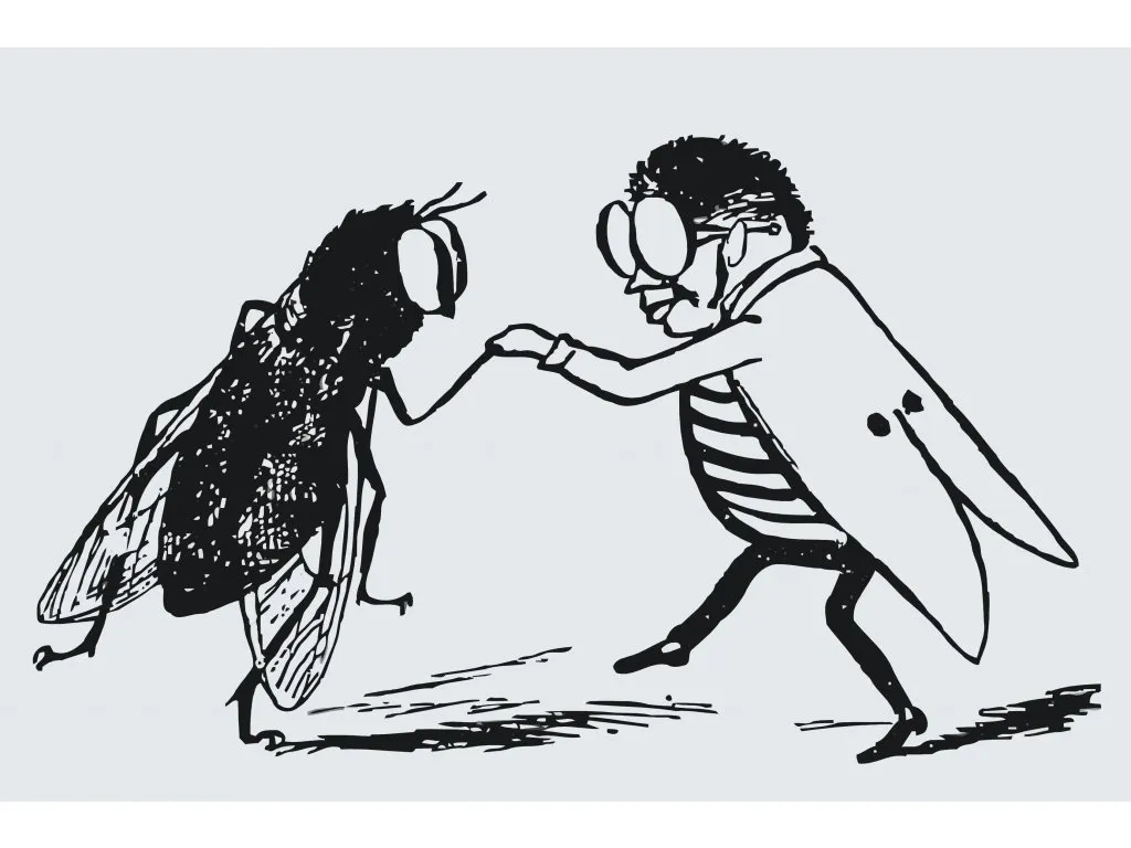 Pintar por Números - Danza de los insectos