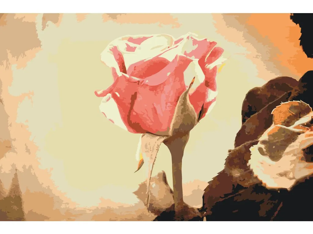 Pintar por Números - Rosas vintage 3