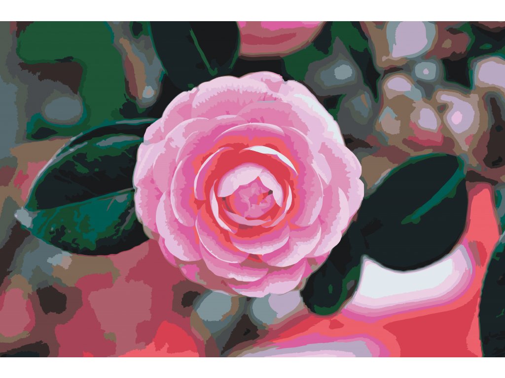 Pintar por Números - Camelia rosa