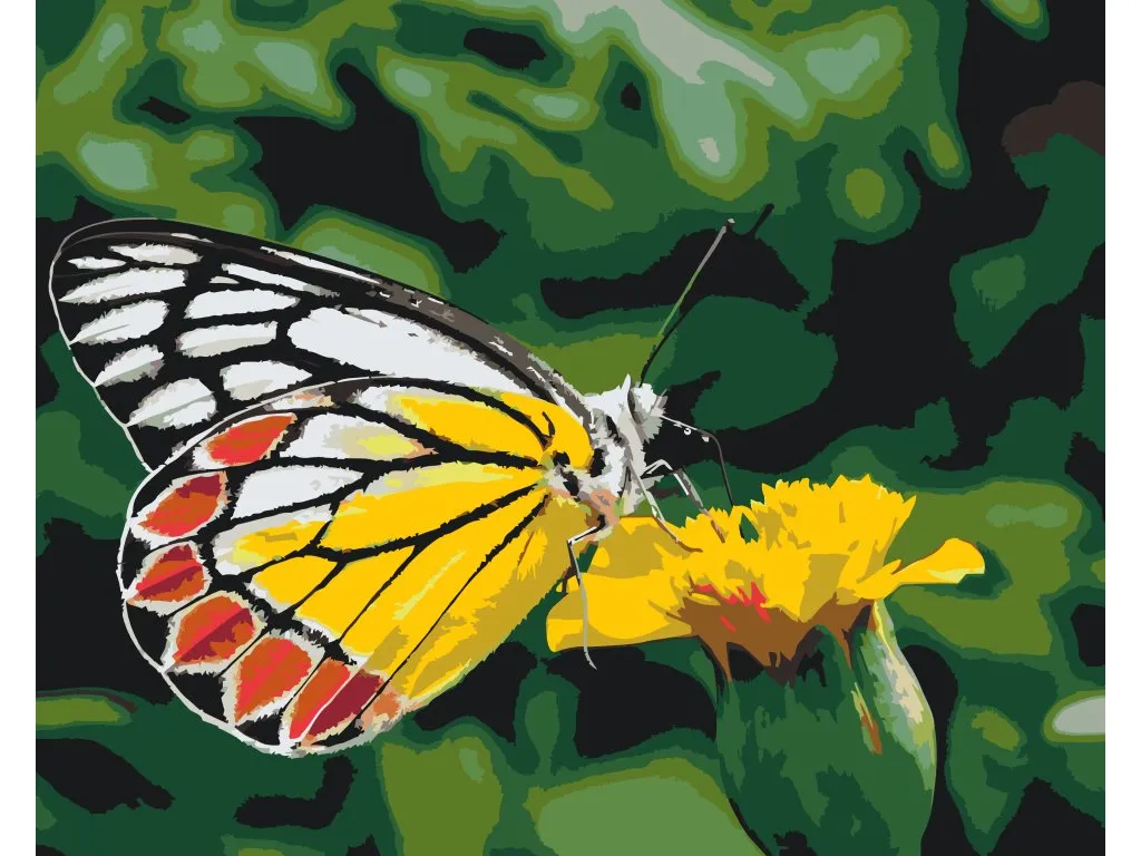 Pintar por Números - Mariposa sobre flor amarilla