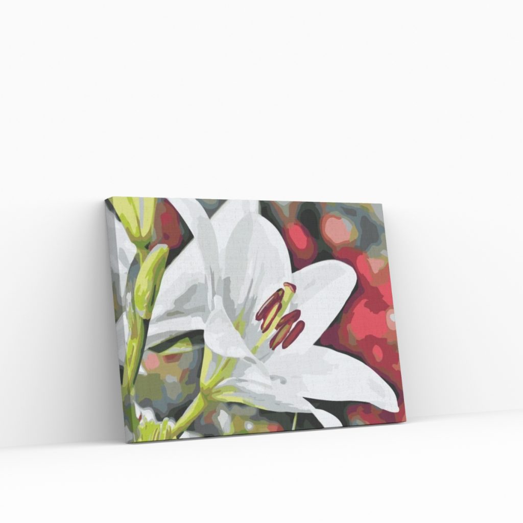 Pintar por Números - Lirio blanco