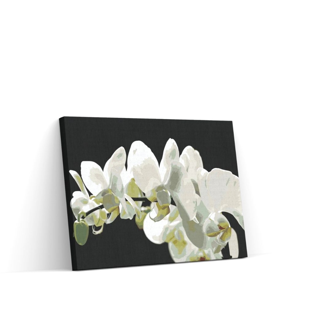 Pintar por Números - Orquídea blanca 2