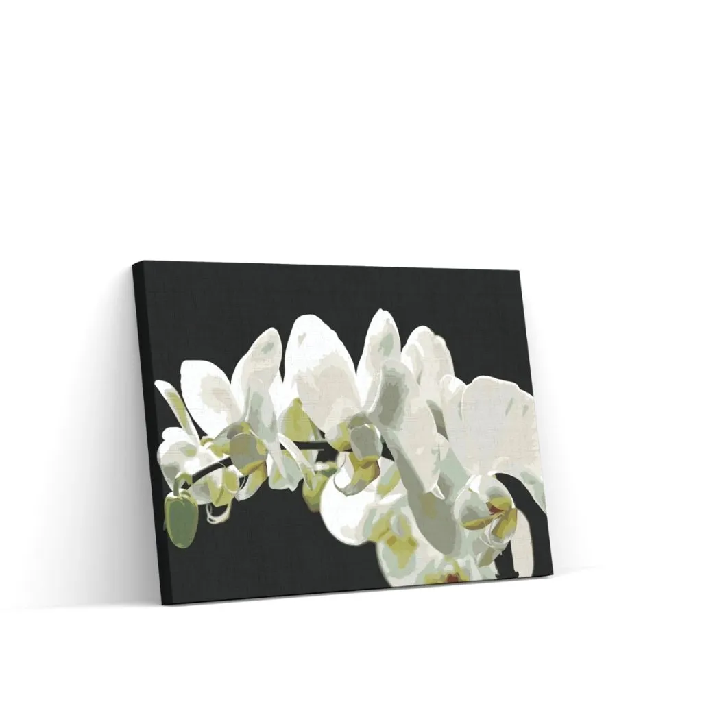Pintar por Números - Orquídea blanca 2