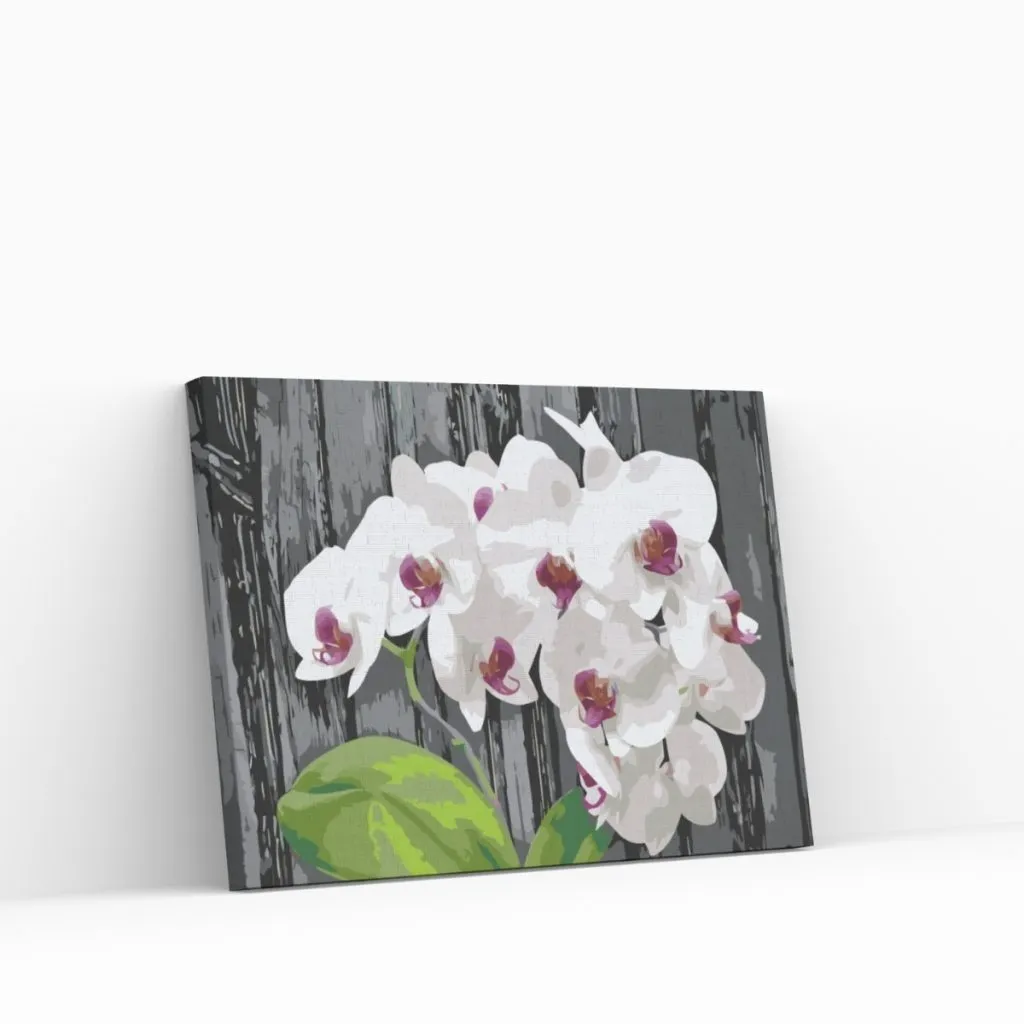 Pintar por Números - Orquídea blanca
