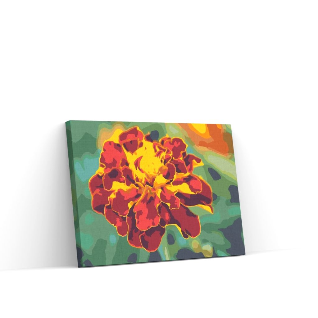 Pintar por Números - Caléndula