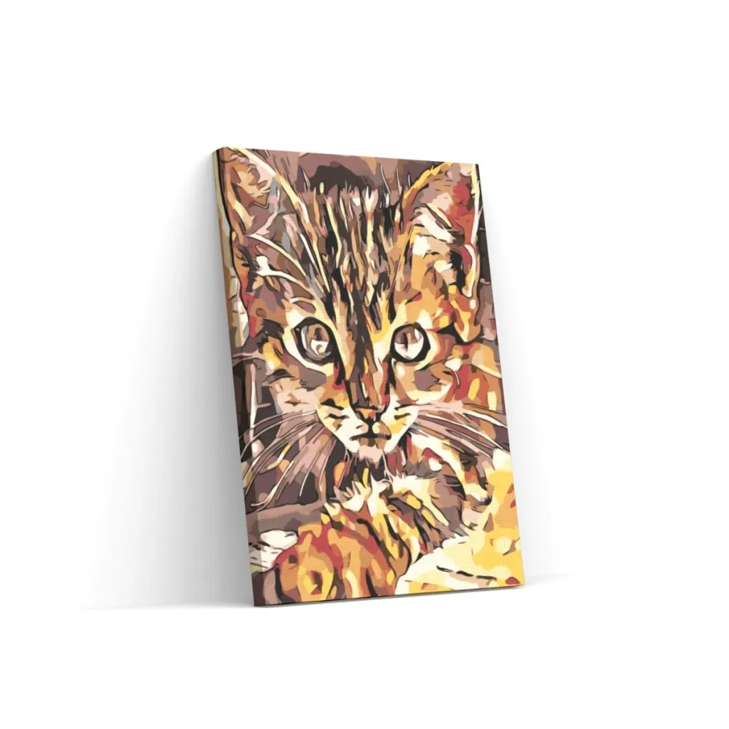 Pintar por Números - Gatito curioso