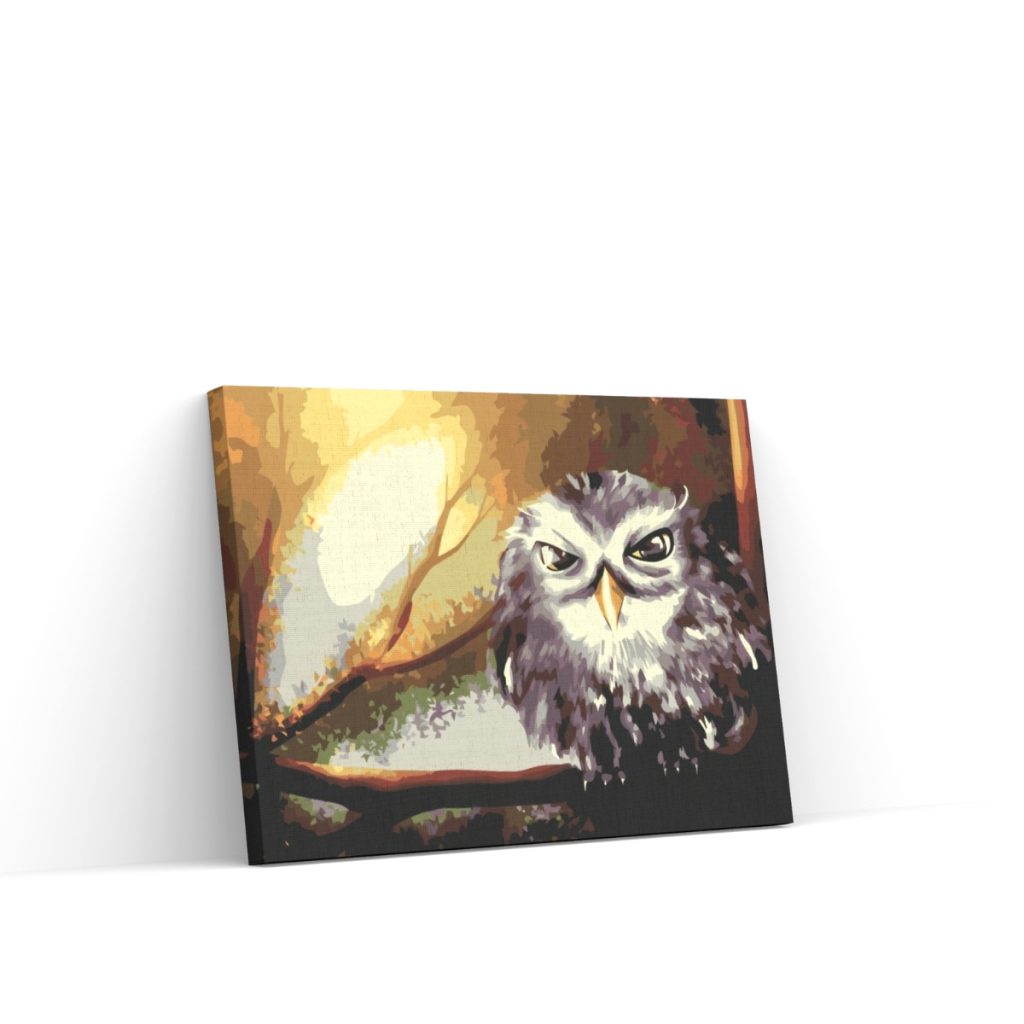 Pintar por Números - Búho Sabio