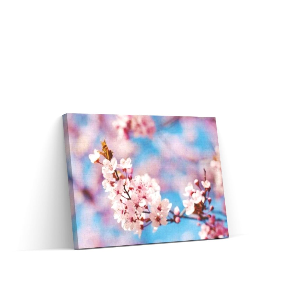 Pintar por Números - Hermosa flor