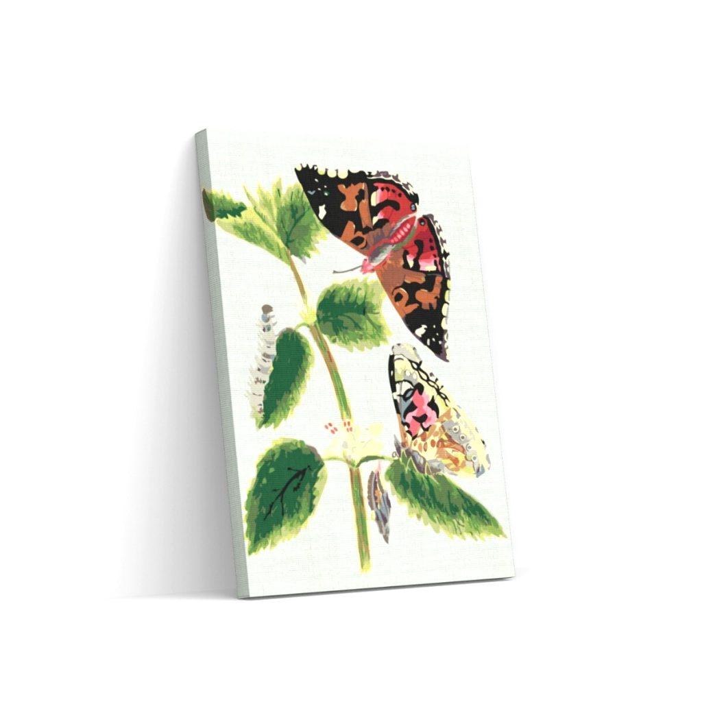 Pintar por Números - intage mariposas I