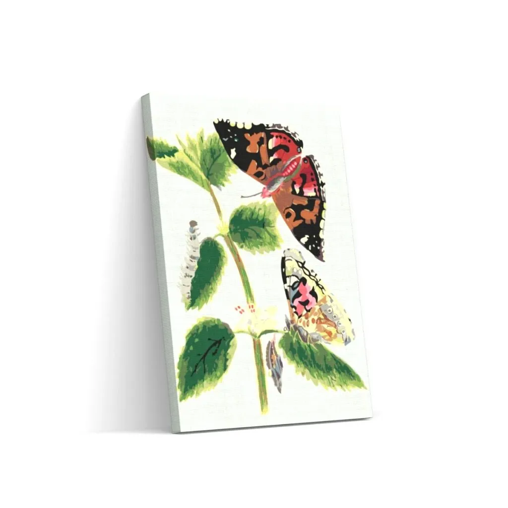 Pintar por Números - intage mariposas I