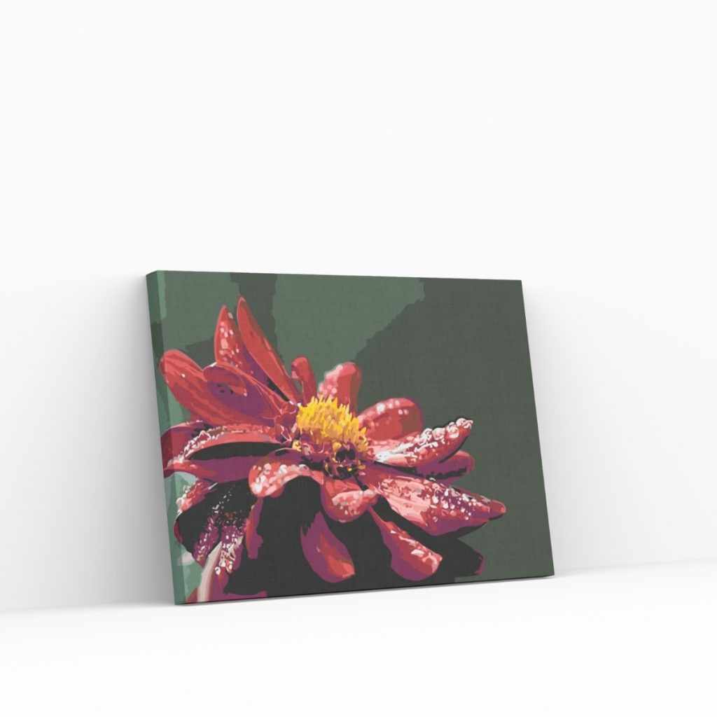 Pintar por Números - Jurina Roja 2