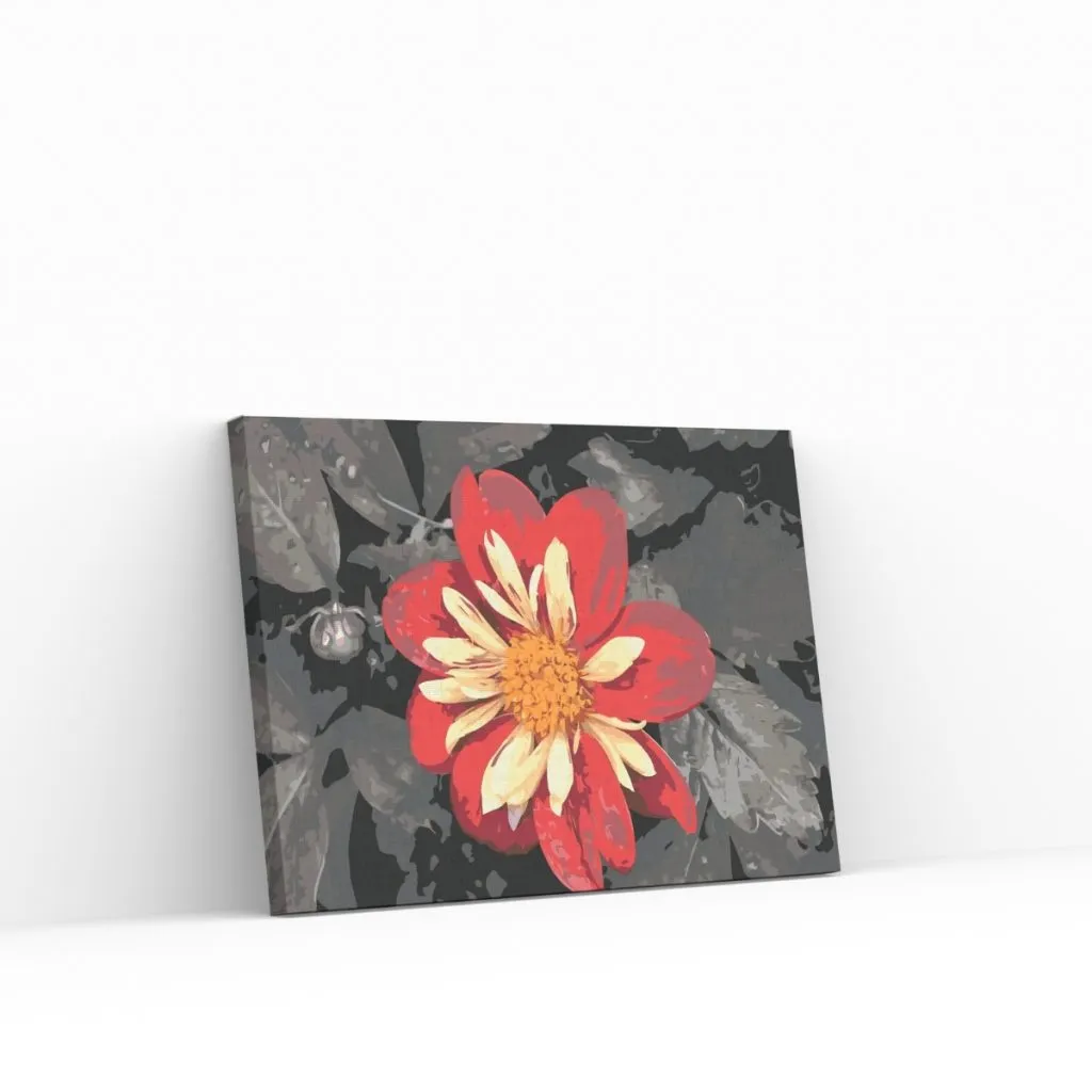 Pintar por Números - Flor roja