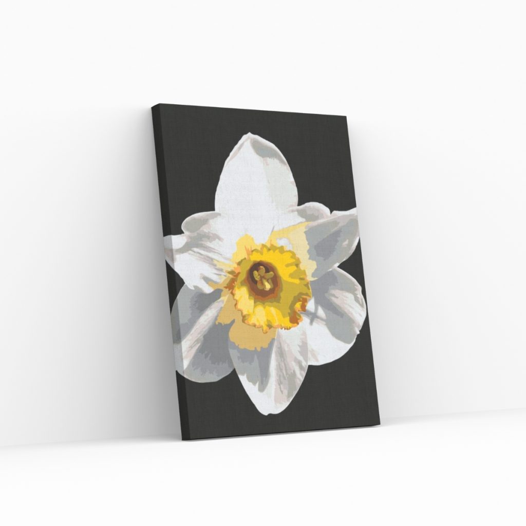 Pintar por Números - Flor de narciso