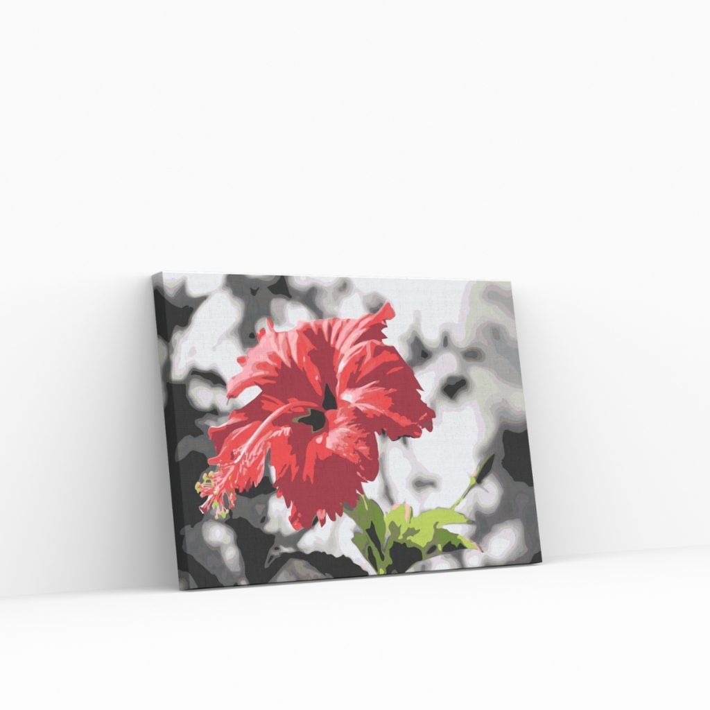 Pintar por Números - Flor roja sobre fondo gris